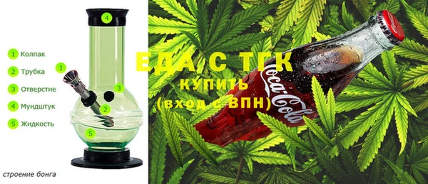 сатива Гусиноозёрск