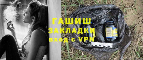 гидра Гусев