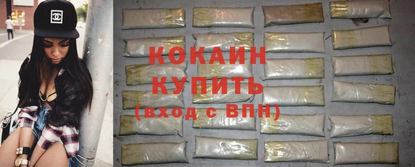 сатива Гусиноозёрск
