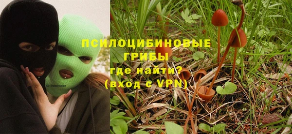 сатива Гусиноозёрск