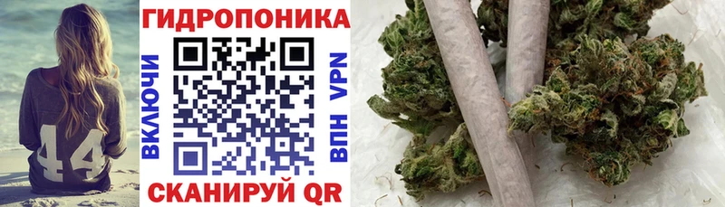 Бошки Шишки THC 21%  Купить закладки  Сальск 